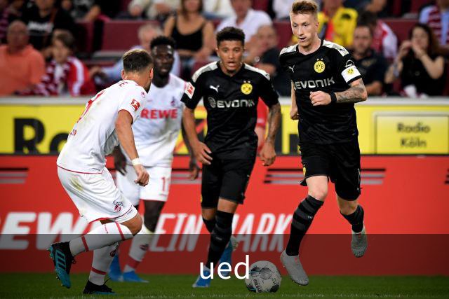 ued公司简介图片